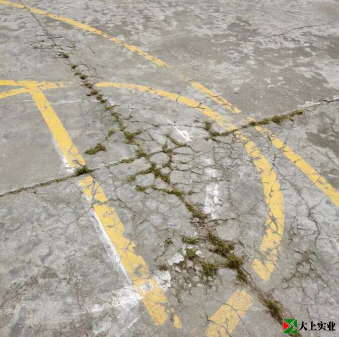 籃球場地面已開裂，并長出雜草。