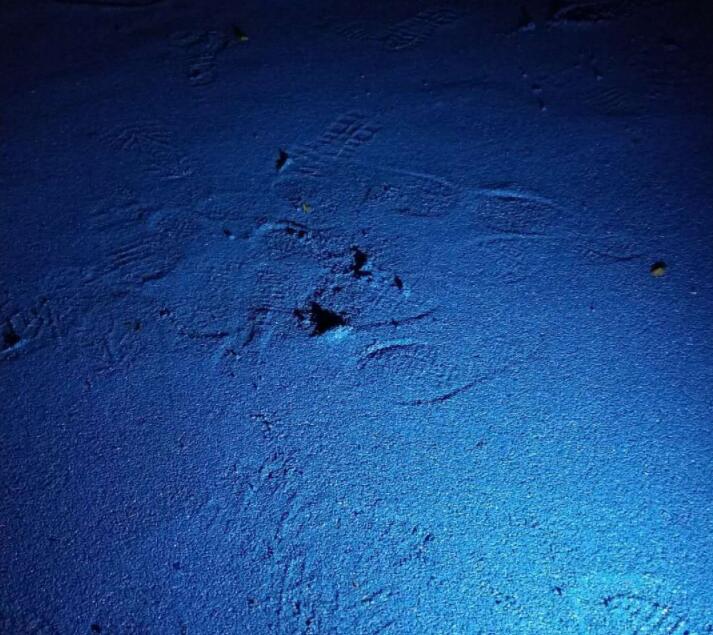 可惡！公園的塑膠跑道施工遭遇不文明行為人